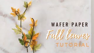 How to make wafer paper autumn leaves and edible stems  Florea Cakes [upl. by Aileen]