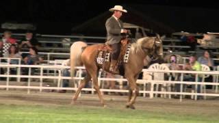 Missouri Fox Trotter AVA 2014 Class Amateur Restr 4 [upl. by Aisorbma850]