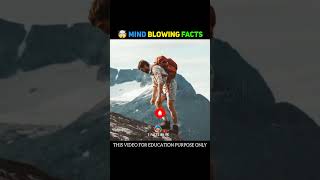 ⚡😳 Top 2 mindblowing facts in telugu ⚡ facts in telugu ⚡ random facts Telugu shorts 7Facts facts [upl. by Ahseined]