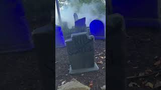 HowlOScream 2024  Busch Gardens Williamsburg  Inside ALL 5 Houses  Terrortories and Beverages [upl. by Israel]