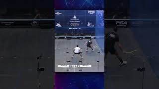 This is JUST RIDICULOUS What a rally 🤯 psaworldtour [upl. by Leonanie130]