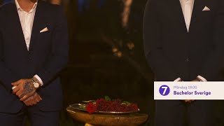 Bachelor Sverige 2019 fyra dagar i veckan  Bachelor TV4 [upl. by Eenerb]