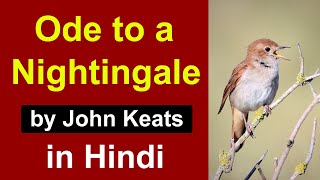 Ode to a Nightingale in Hindi  poem by John Keats  Complete summary and analysis [upl. by Hein]