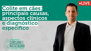 Colite em cães principais causas aspectos clínicos e diagnóstico específico [upl. by Broeker]