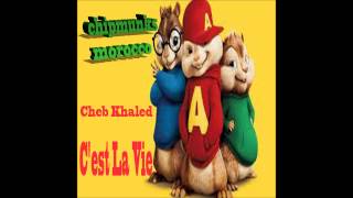 moroccan chipmunks songs cheb khaledCest la vie [upl. by Joye]