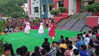 celebration of Nov 14 in Sri Chaitanya school 🏫 [upl. by Nahgem428]