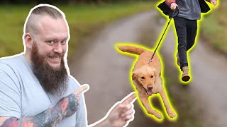 How To Stop Your Dog PULLING On The Leash [upl. by Allmon]