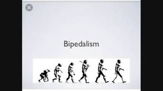 Bipedalism its advantages n disadvantages [upl. by Lorelle300]