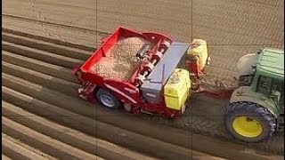 Grimme GL430 www keller technik [upl. by Edme]