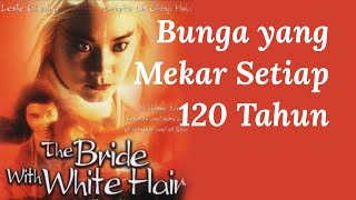 Bunga yang Mekar Hanya Setiap 120 Tahun Sekali Bagai Cerita Film The Bride WIth White Hair [upl. by Devinna]