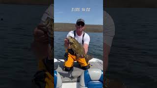 Jerkbait smallmouth bass [upl. by Deaner]