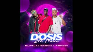 DOSIS DE PERREO  PAPI NEGRIS  NELSON DJ  JUNIOR DJ [upl. by Cartwell]