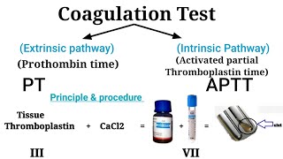 Prothombin time test  Coagulation Test Clotting factor [upl. by Reube]