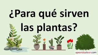 Para que sirven las plantas [upl. by Dabbs]