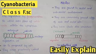 Cyanobacteria In Urdu  Class 11 Biology [upl. by Nilyarg]