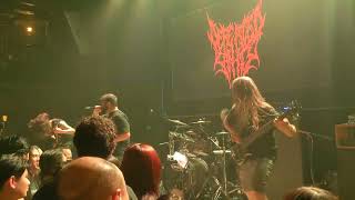 Defeated Sanity  Live in Saigon Vietnam 2024 [upl. by Jar423]