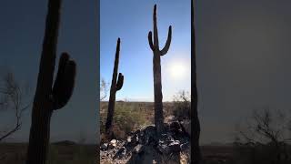 Tonopah area  in Arizona [upl. by Fiore]