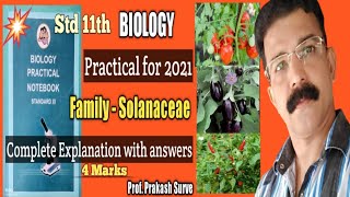 Family SolanaceaeEx Tomato Brinjal and Chilli Std 11th Biology Practical By Prof Prakash Surve [upl. by Aindrea]