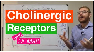 Cholinergic Receptors [upl. by Haet]