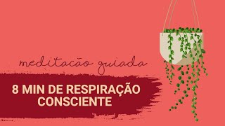 Meditação 8 min de RESPIRAÇÃO CONSCIENTE I Yoga Sem Exagero [upl. by Lolita7]