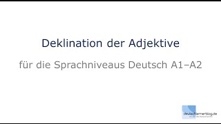 Adjektivdeklination  Deutsch lernen A1A2 [upl. by Belen]