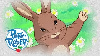 Peter Rabbit  Flopsy Tells a Story  Cartoons for Kids [upl. by Anileva]