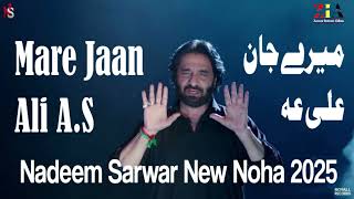 Nadeem Sarwar  Mare Jaan Ali AS  Nadeem Sarwar New Noha 2025 Promo [upl. by Keemahs]