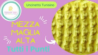 Mezza Maglia Alta  TUTTI I PUNTI TUNISINI [upl. by Aivad]