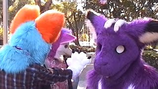 Video8 Tape A Fur Meet in South Bank [upl. by Elletnohs]