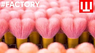 How Makeup Brushes Are Made In Factory  How Its Made Makeup Brushes [upl. by Airtemed]