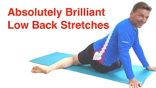 The Best Low Back Stretches  Lower Back Pain Relief Routine With FREE Exercise Sheet [upl. by Haorbed]