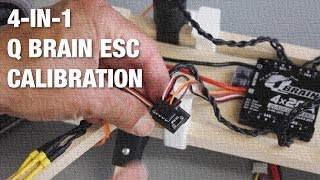 4in1 Q Brain ESC Calibration on QuadLugs Frame amp HK Pilot Flight Controller [upl. by Eidak]