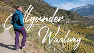 Herbstliche 🍂🍃🍁 Wanderung auf dem Algunder Waalweg  Vlog 91  SÜDTIROL 🇮🇹 [upl. by Linc]