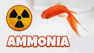 Ammonia kills fish [upl. by Kumagai]