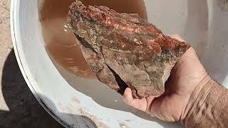 Collecting Petrified Wood At The Dobell Ranch In Arizona thefinders [upl. by Neenej]