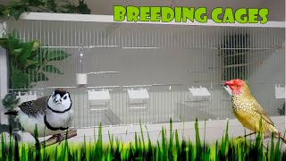 How To Build a Finch  Canary Breeding Cages The Bird Gallery [upl. by Ayanaj]