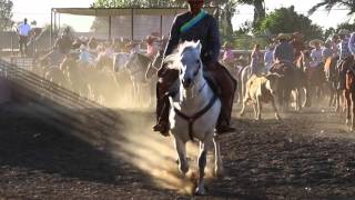 Coleadero Lienzo Charro Los Compadres 262016 [upl. by Oirram]