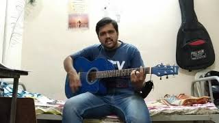 Pilla Ra RX100 Guitar Cover [upl. by Sanburn677]