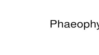 How to pronounce Phaeophyta [upl. by Shayn]