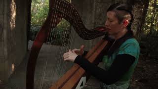 Harp in Rivendell Irish harpist Úna Ní Fhlannagáin playing at Lord Of The Rings film location NZ [upl. by Atikir508]