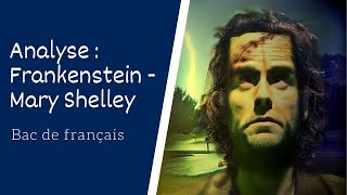 Frankenstein de Mary Shelley Analyse [upl. by Adnilemreh]