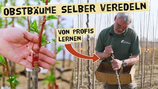 Obstbäumen selbst veredeln und alte Obstsorten erhalten  Profi zeigt verschiedene Veredelungen [upl. by Ares]