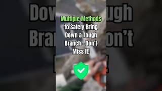 Multiple Methods for Bringing Down a Branch [upl. by Freddi329]