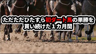 【競馬検証】初ダート馬の単勝を一カ月間全て買い続けた結果！ [upl. by Yv]