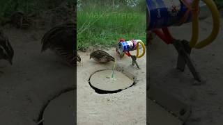 Creative DIY Bird Trap  Quail Trap shorts  Make Traps [upl. by Oflunra]