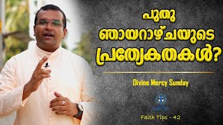 എന്തിനാണ് പുതുഞായറാഴ്ച ആചരണം പ്രത്യേകതകൾ  DIVINE MERCY SUNDAY  FAITH TIPS  42 [upl. by Shwalb]