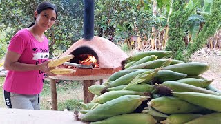 06 Receitas de milho A fruta dourada do campoCleide Lifestyle [upl. by Zed957]