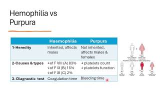 2 hemostasis disorders and erythrocytes [upl. by Dunlavy]