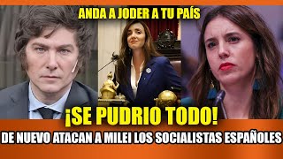 POLITICOS SOCIALISTAS DE ESPAÑA VUELVEN A ATACAR A MILEI  Villarruel los dejó domados [upl. by Suivatna]