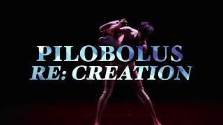 Pilobolus – RE CREATION  Wortham Center [upl. by Reve]